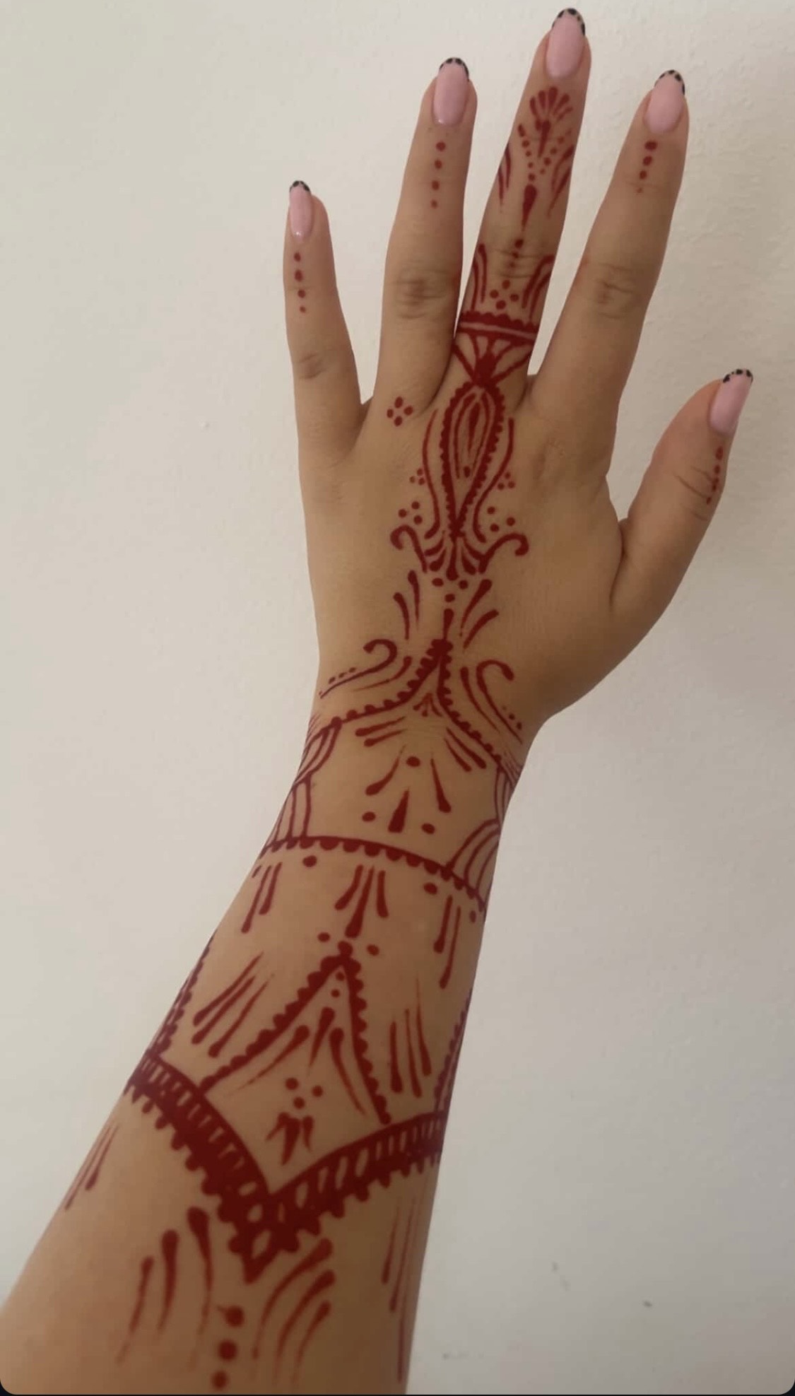 kaniranje-beograd-tya-studio