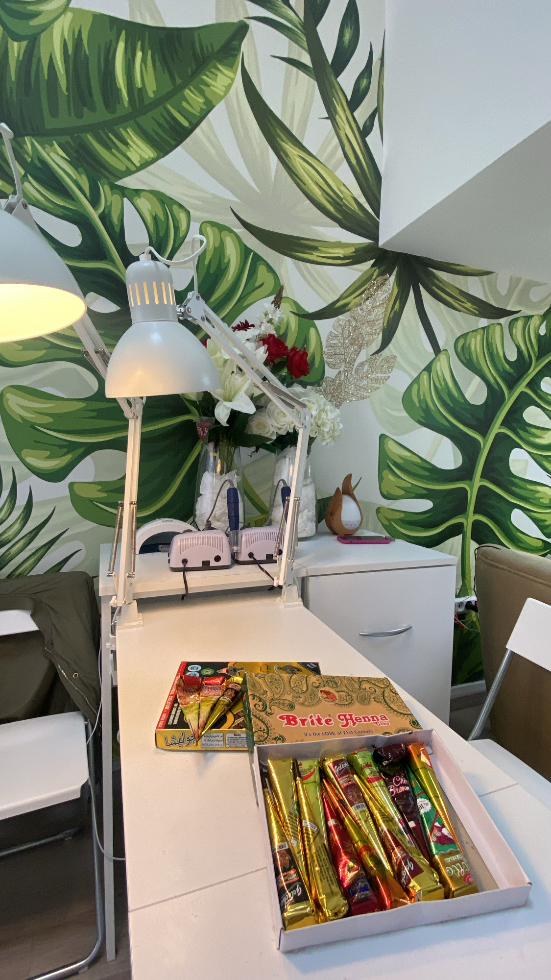 kaniranje-beograd-tya-studio